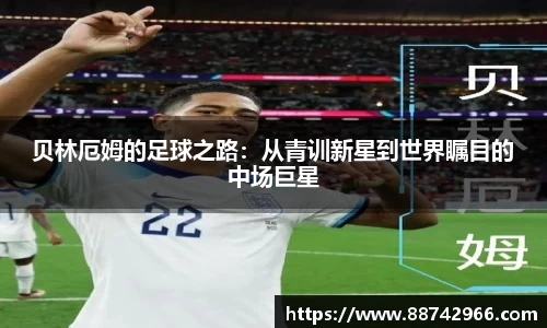 bsports官网入口